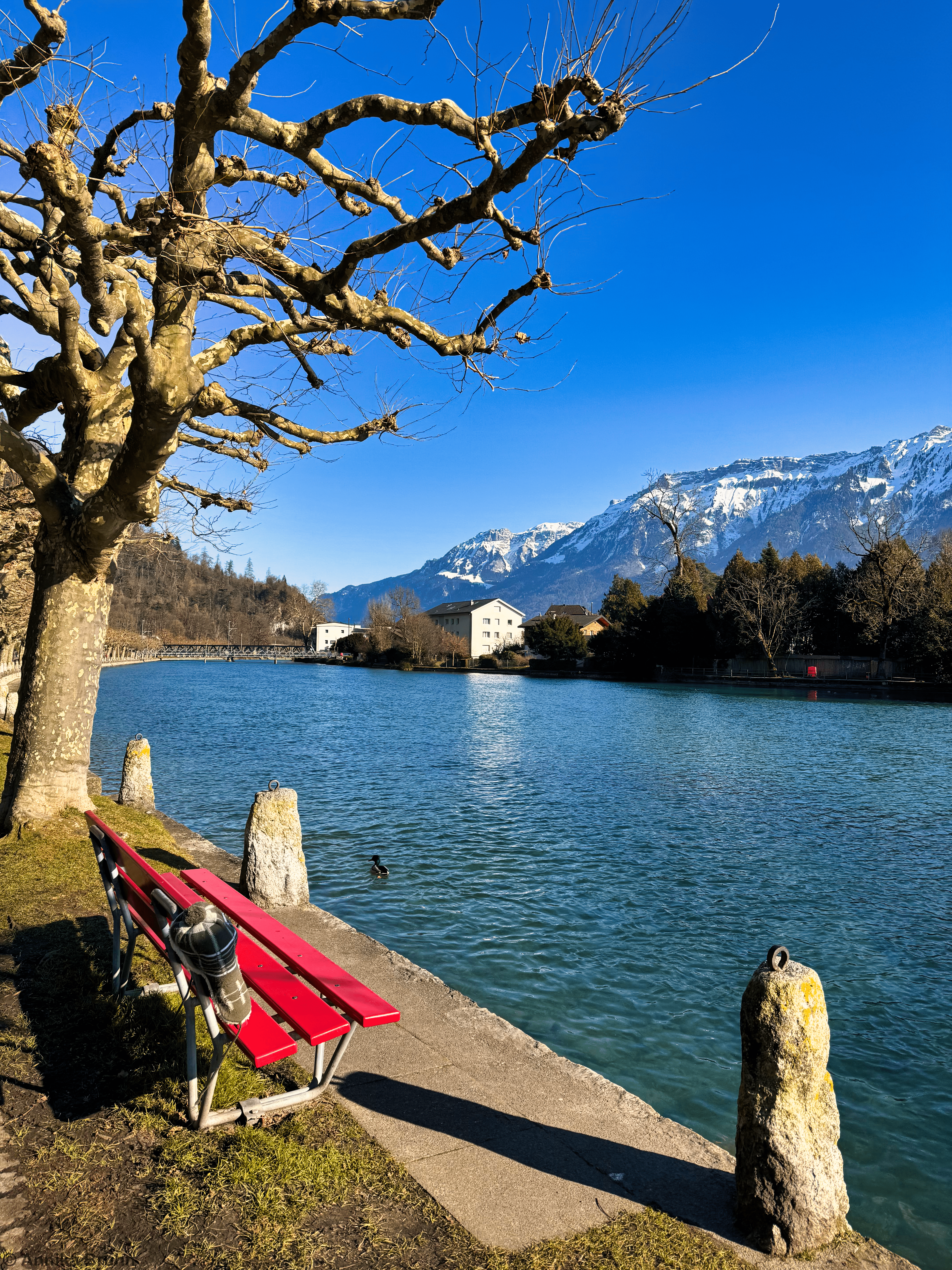 Aare River
